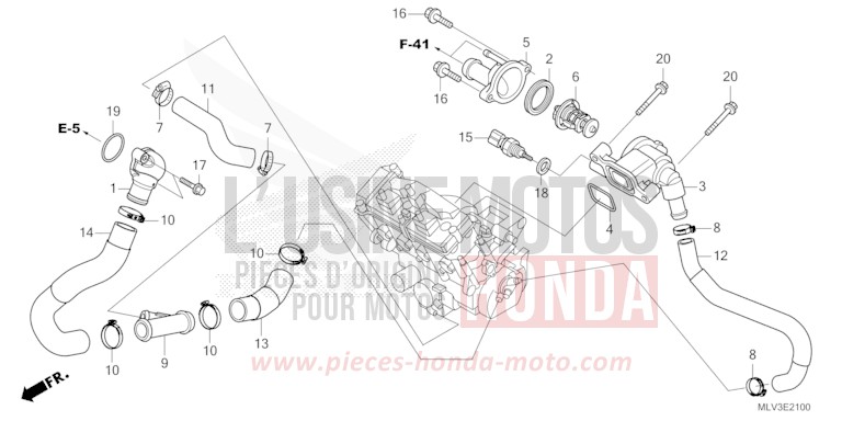 THERMOSTAT von CB1000F "Big One" WOLF SILVER METALLIC (NHD19H) von 2026